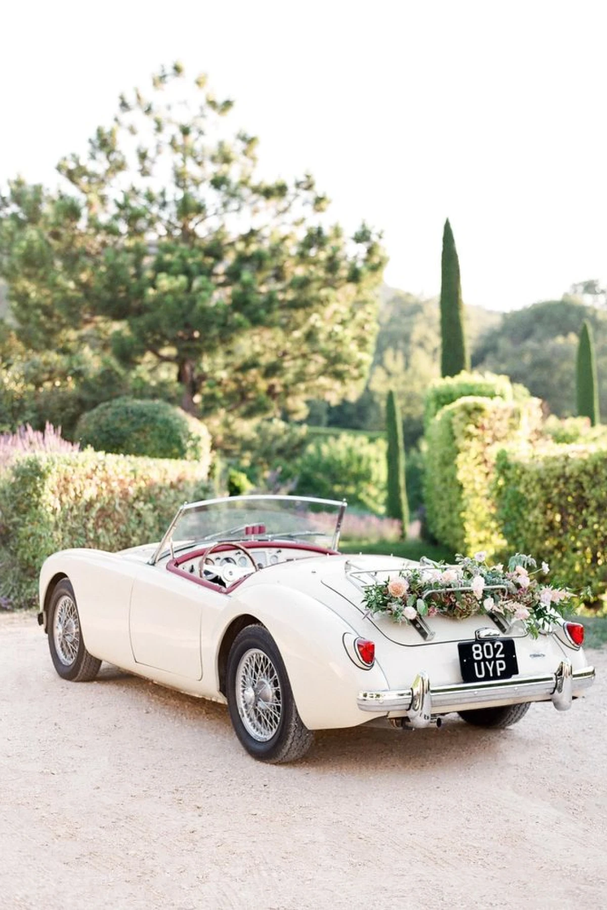 Luxury or Vintage Car