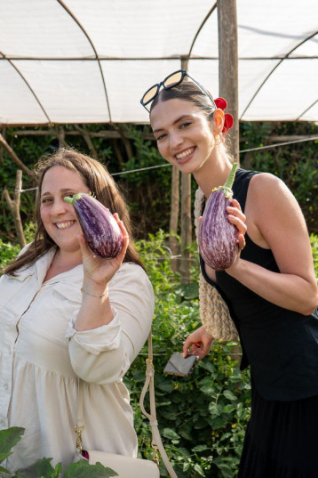 Eggplants from the Garden