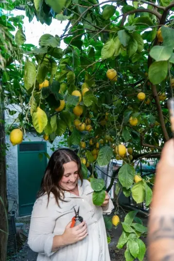 Lemon Tour in Sorrento